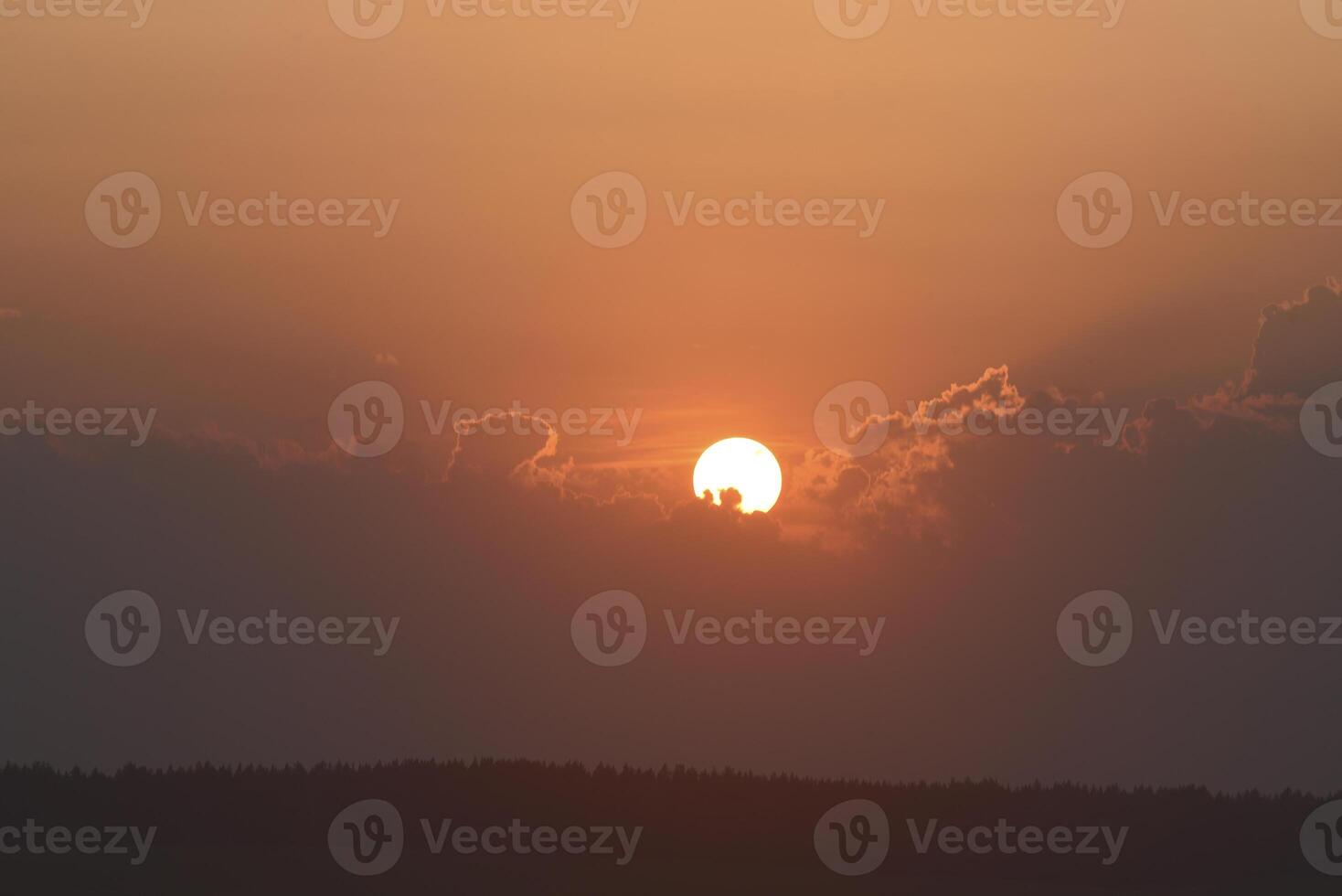 The solar disk. The setting sun in a cloud over the forest. photo