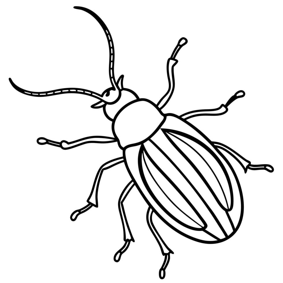 Cucumber Beetle bug walks icon vector