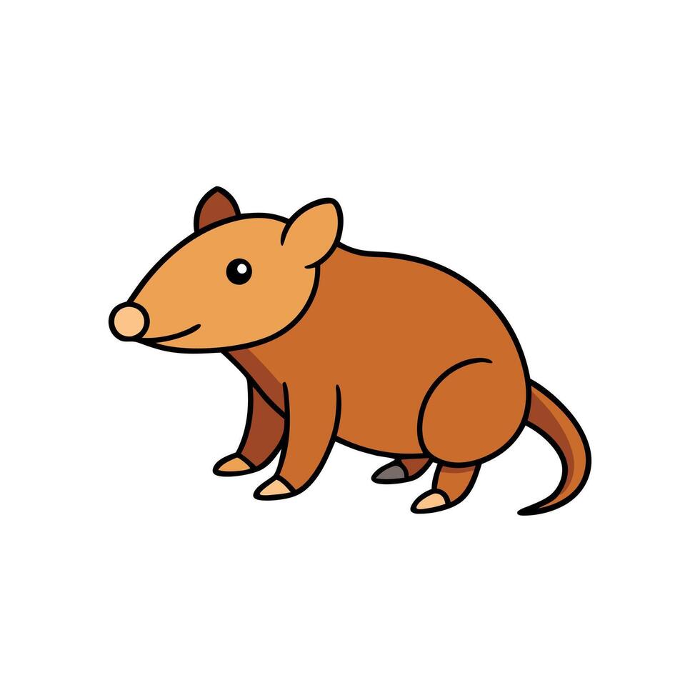 Cuban Solenodon rodent looks icon vector