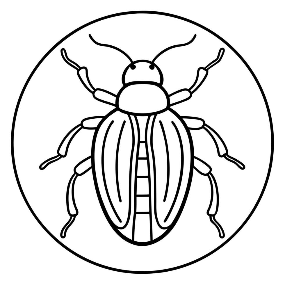 Cucumber Beetle bug stands icon vector