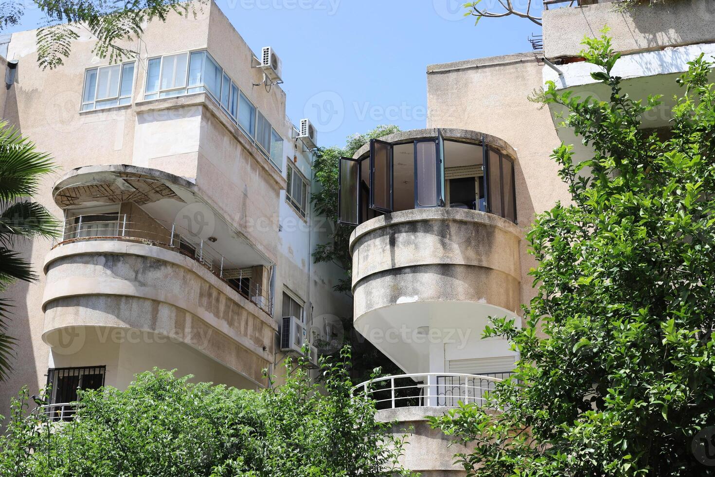 A building in the city through the crown of a tall tree on a city street. photo