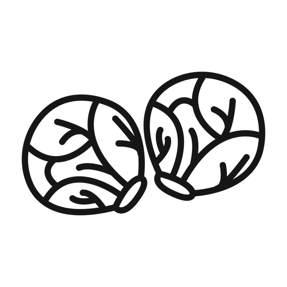 Brussels sprouts Cabbage icon Black line art logo vector
