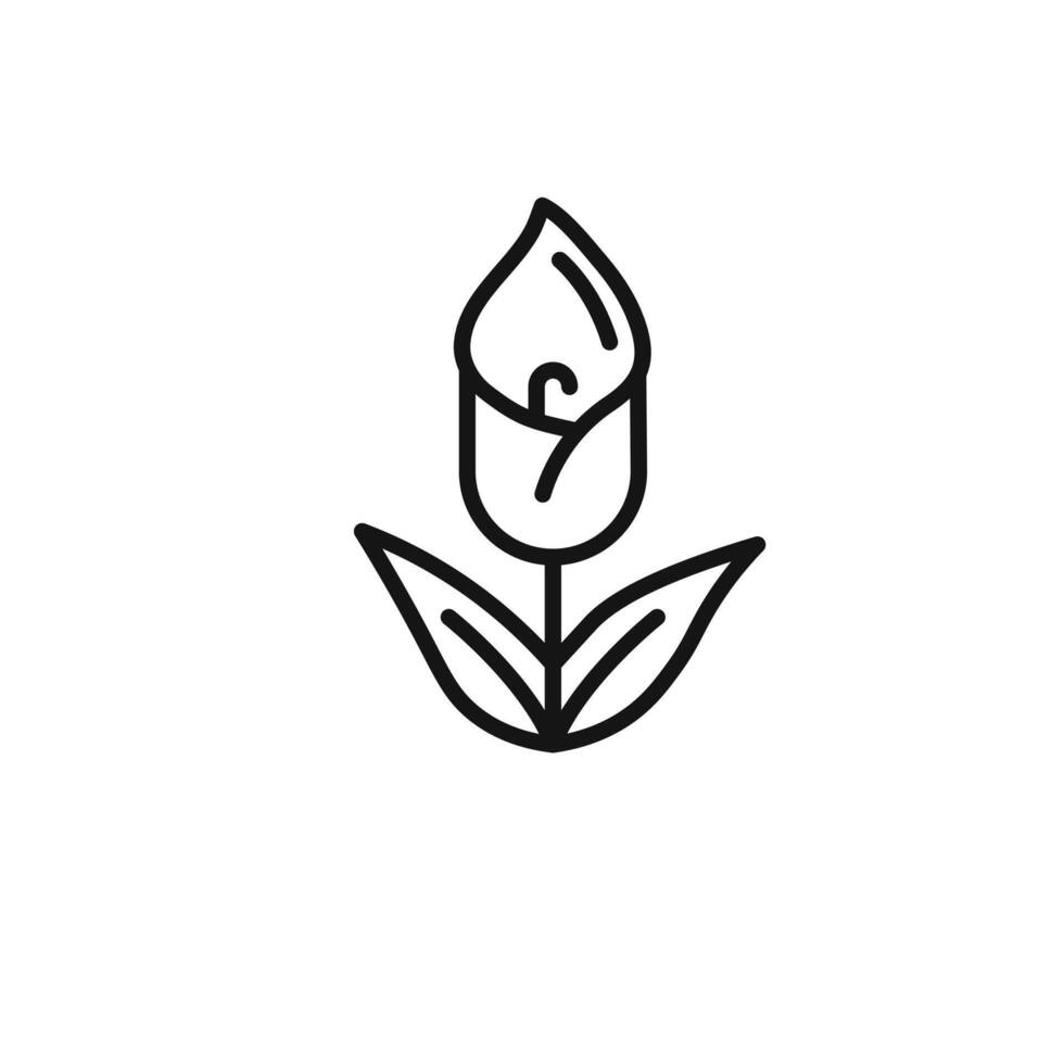 calla icon outline collection in black and on white background vector