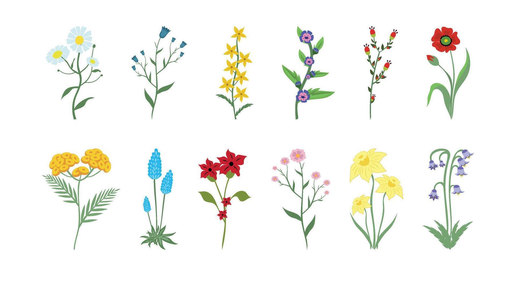 Hand-drawn spring flowers collection vector