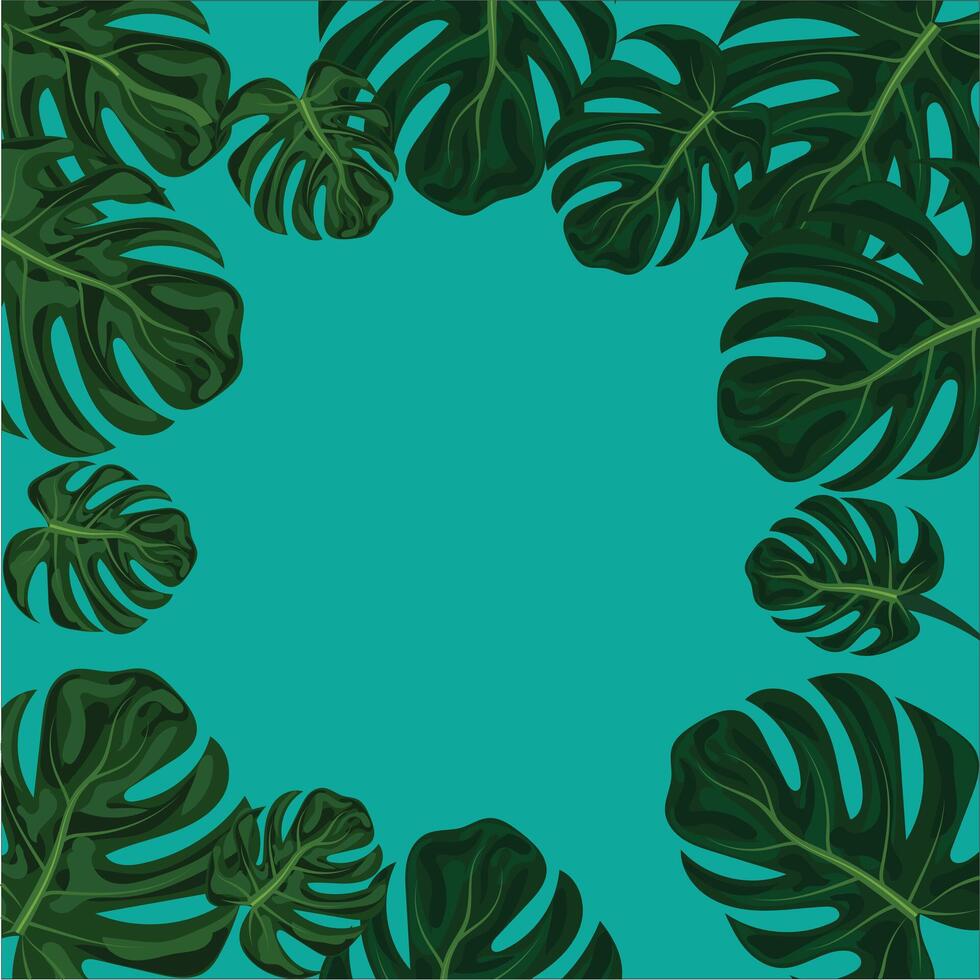 tropical frame with green monstera leaves on background vector