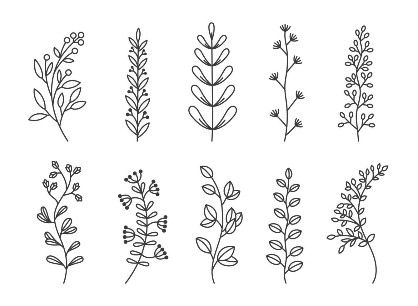 Plant branch doodle. Hand drawn black line leaves. Exotic summer botanical branches. Natural decorative foliage, sketch leaf. Floral isolated elements for wedding card invitation. set vector