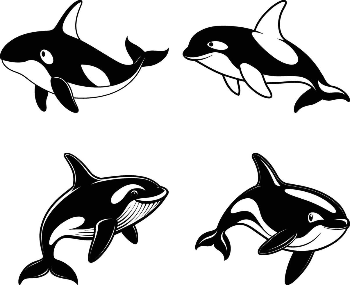 Killer whale illustration vector