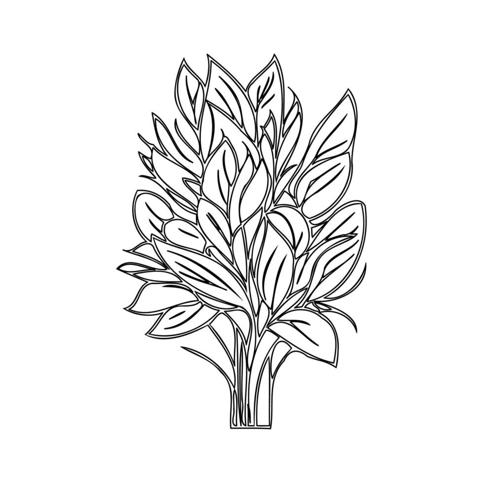 Bouquet flower outline illustration sketch vector