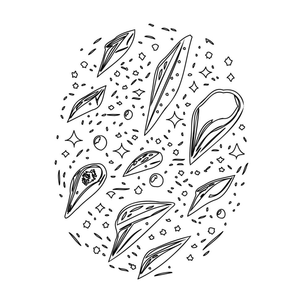 Asteroids outline illustration sketch vector