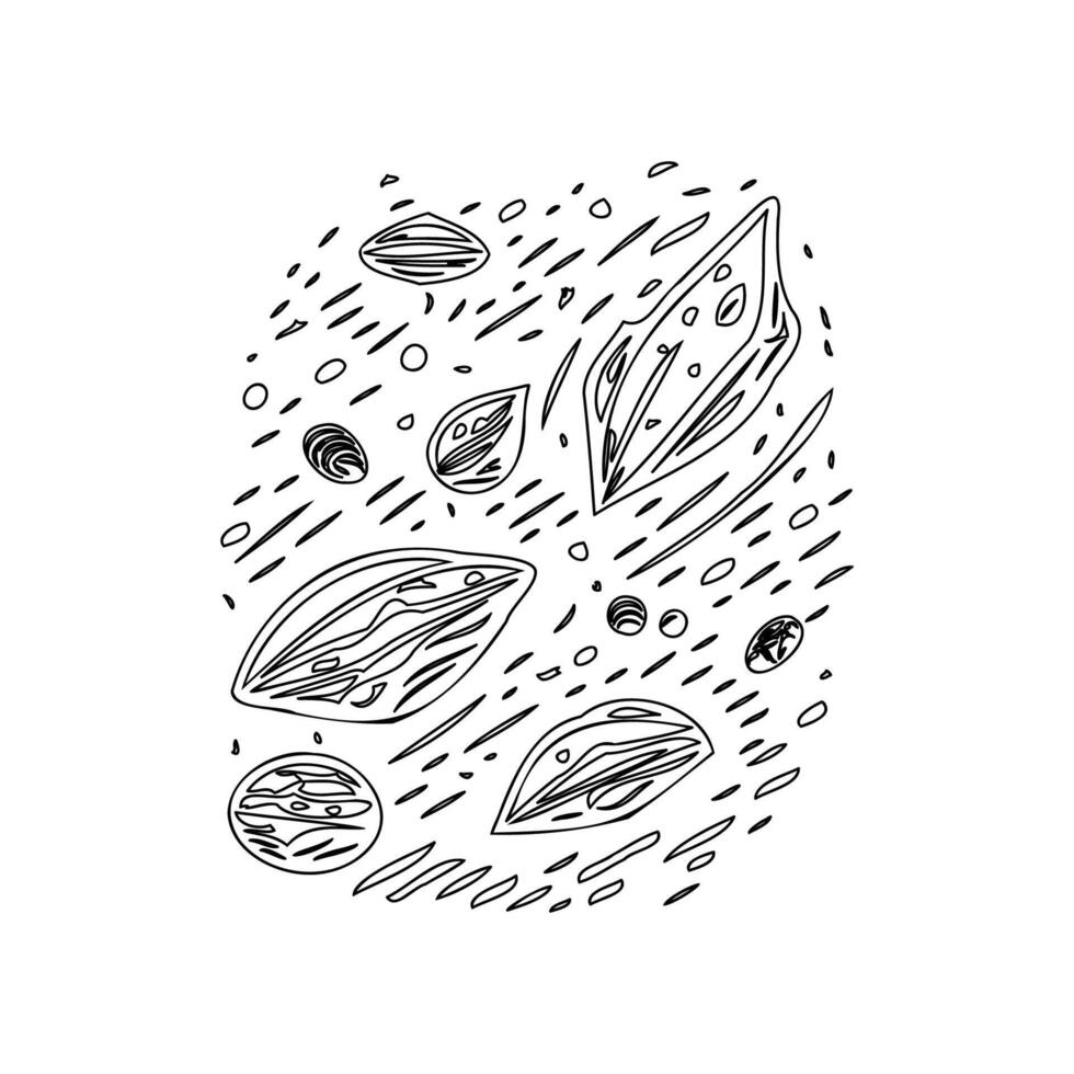 Asteroids outline illustration sketch vector