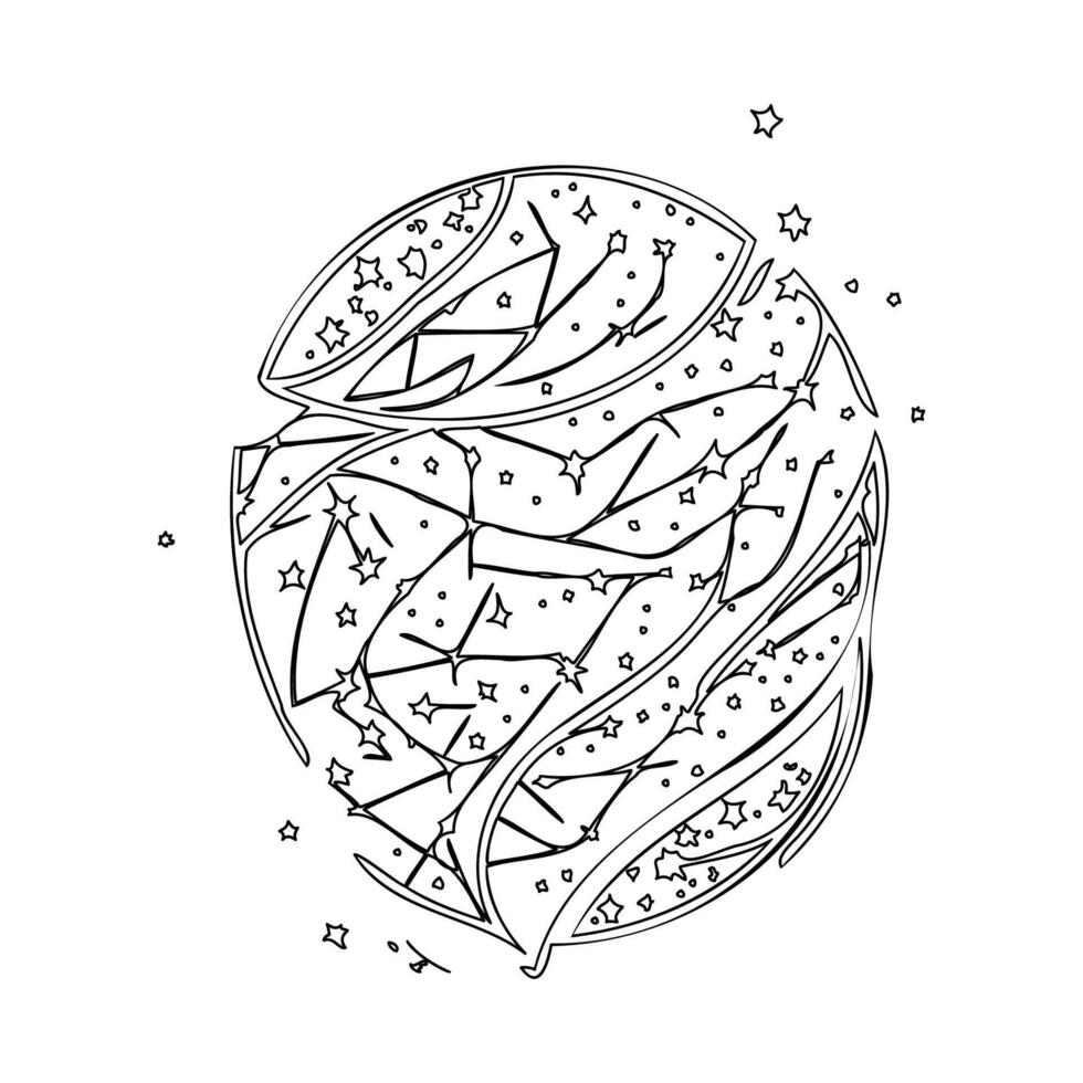 Constellations outline illustration sketch vector