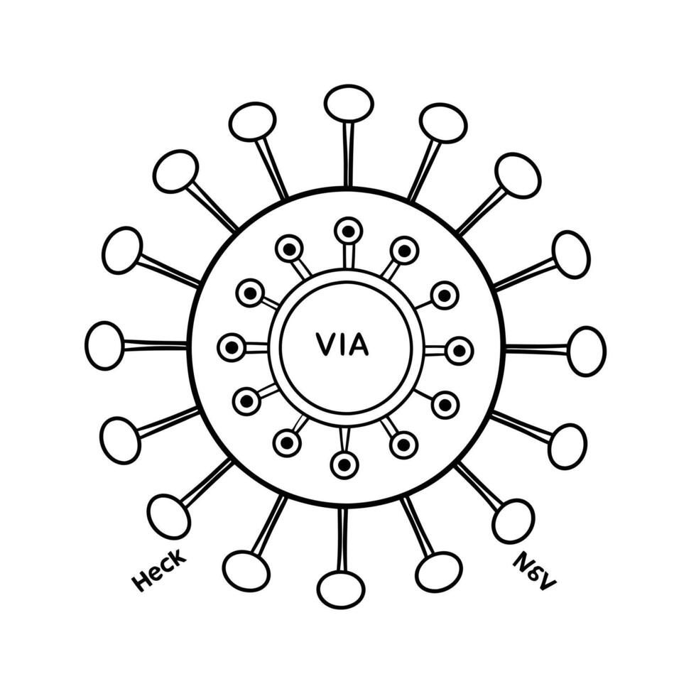 Microbiology Coloring Pages For Kids Coloring Book vector