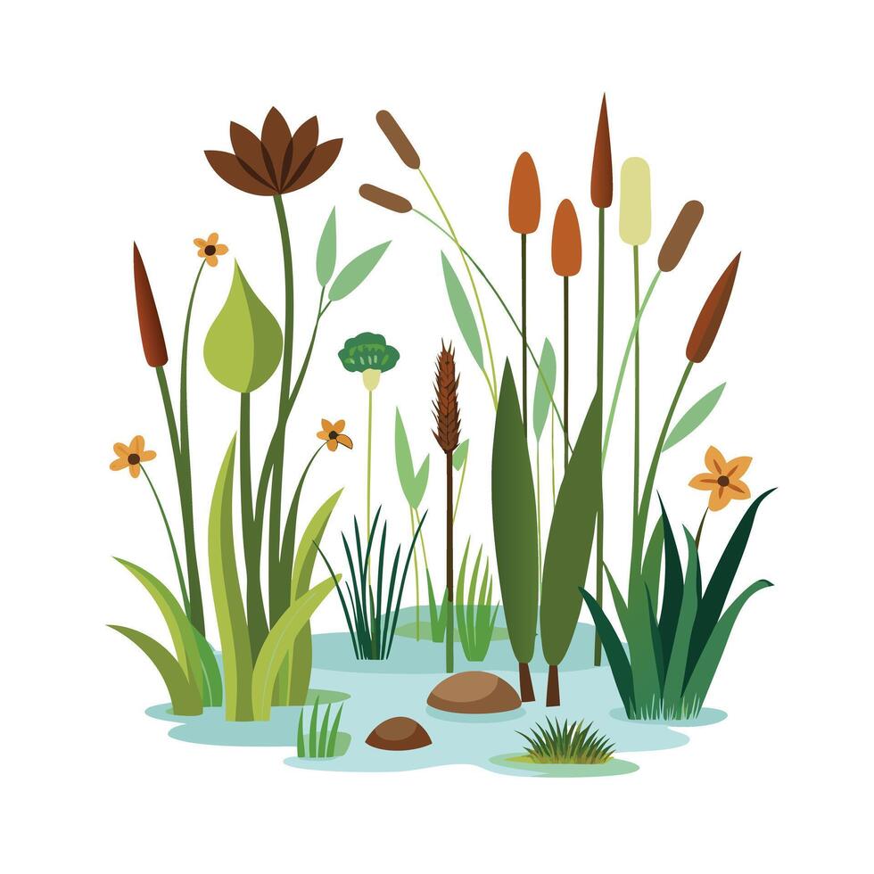 Hand drawn design botanical elements collection vector