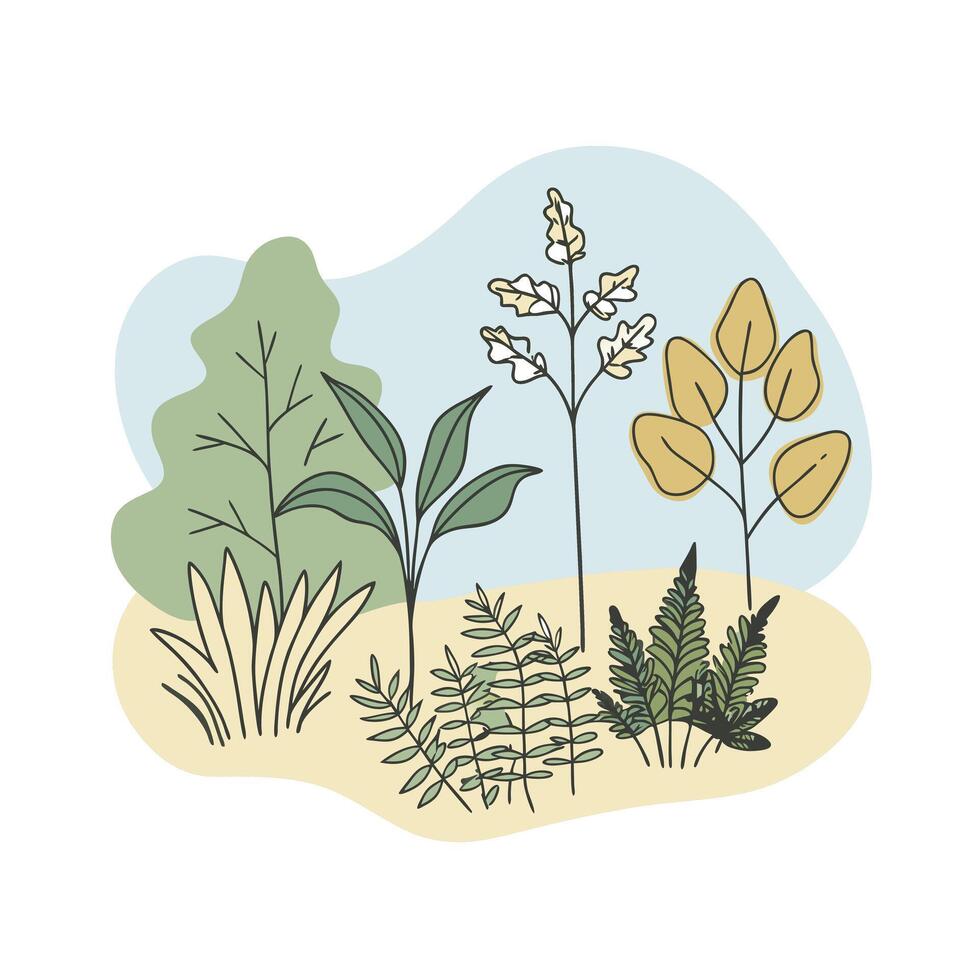 Hand drawn design botanical elements collection vector