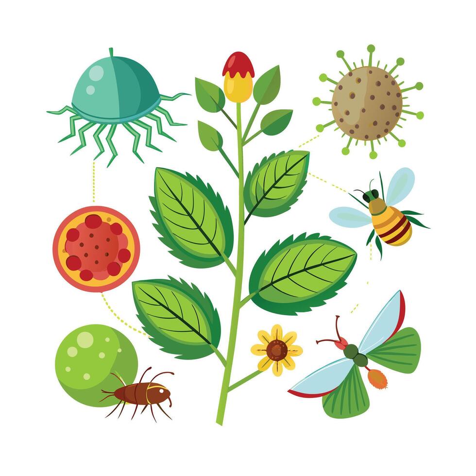 Hand drawn design botanical elements collection vector