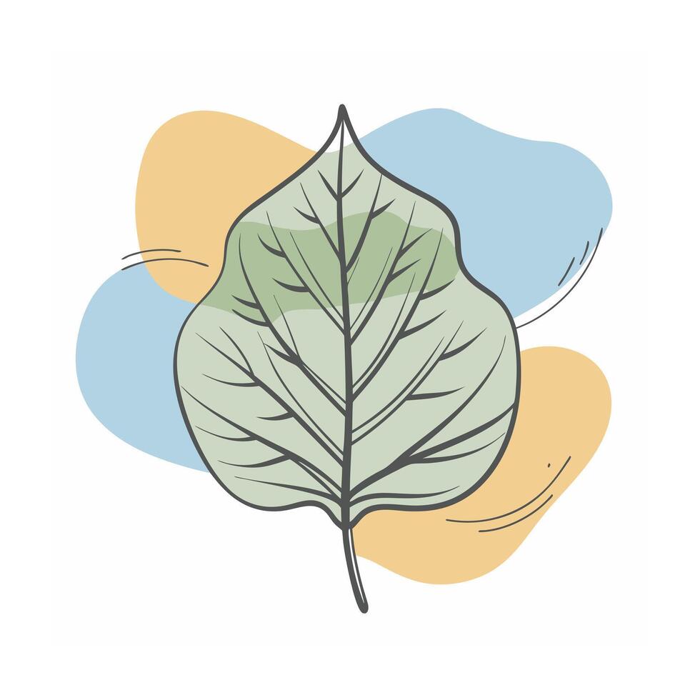 Hand drawn design botanical elements collection vector