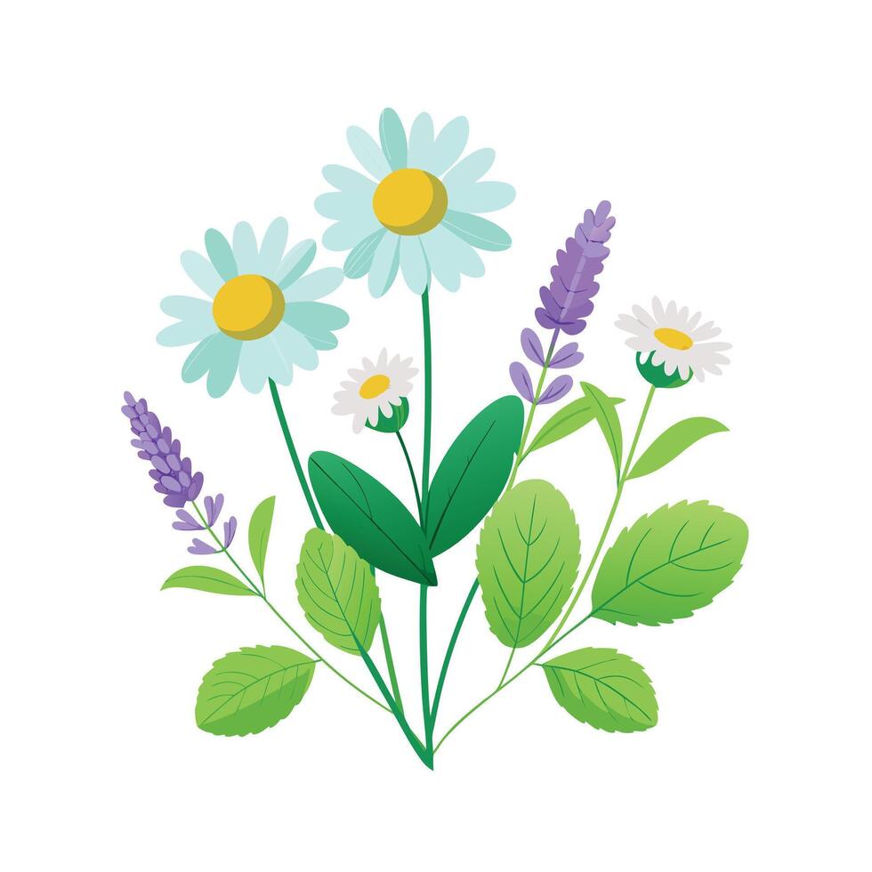 Hand drawn design botanical elements collection vector