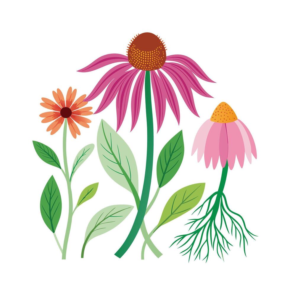 Hand drawn design botanical elements collection vector