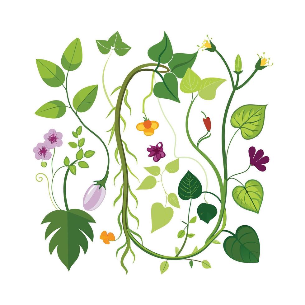 Hand drawn design botanical elements collection vector