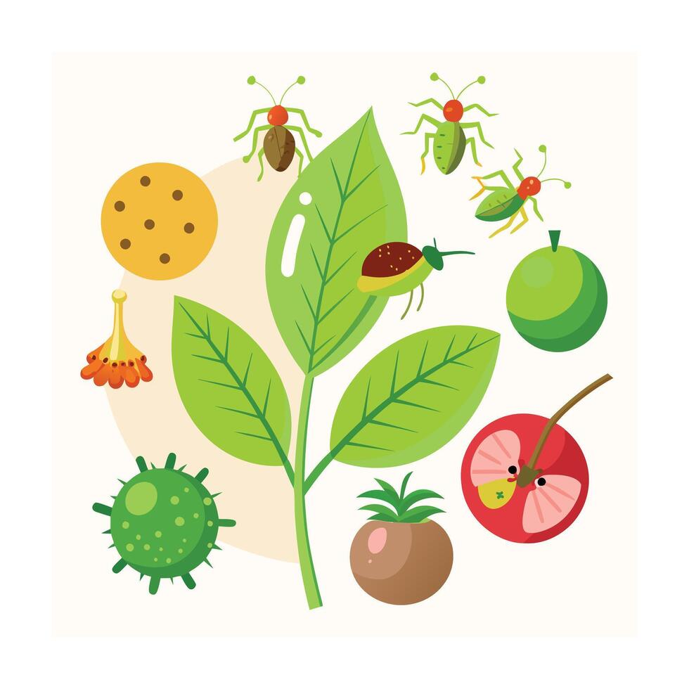 Hand drawn design botanical elements collection vector