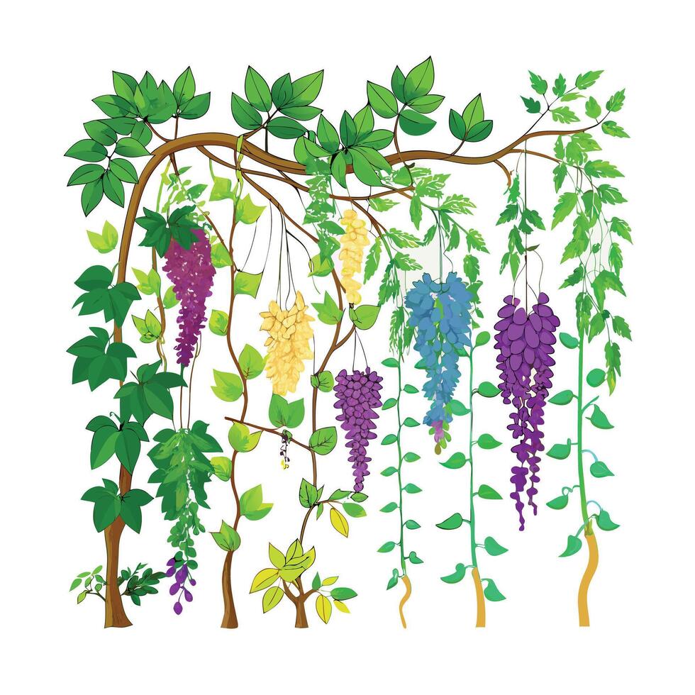 Hand drawn design botanical elements collection vector