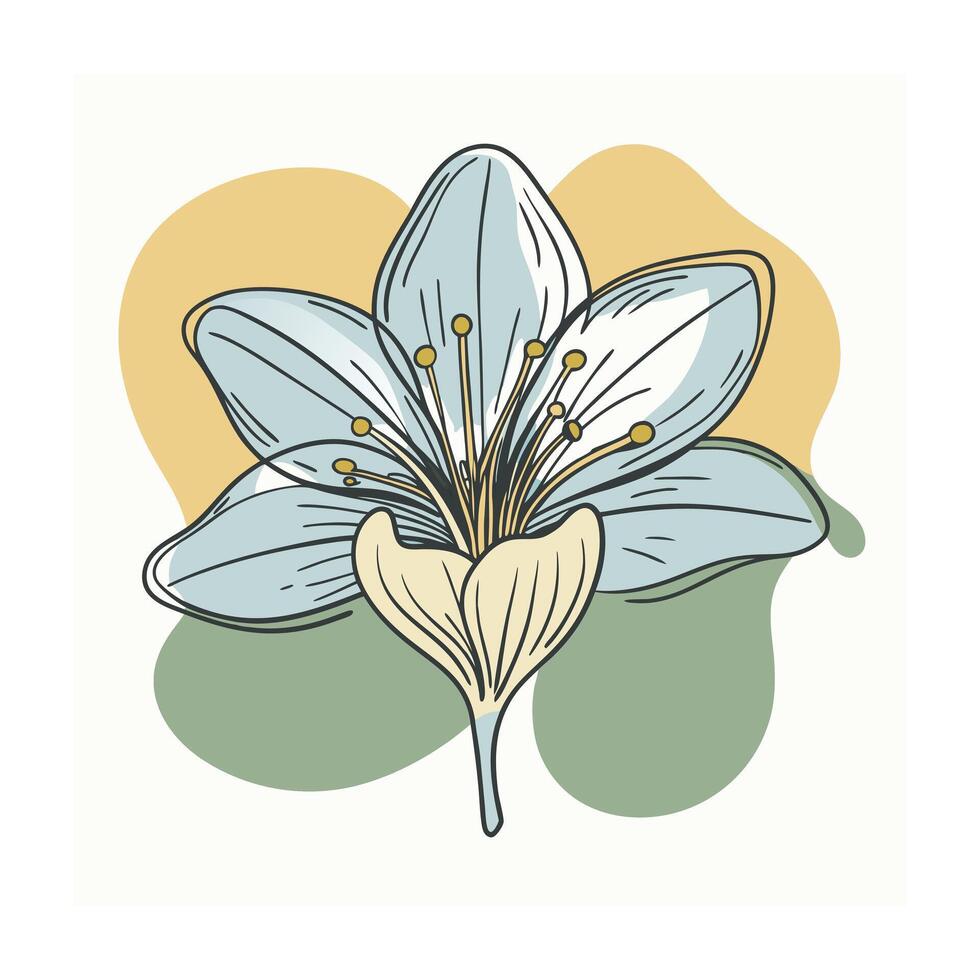 Hand drawn design botanical elements collection vector