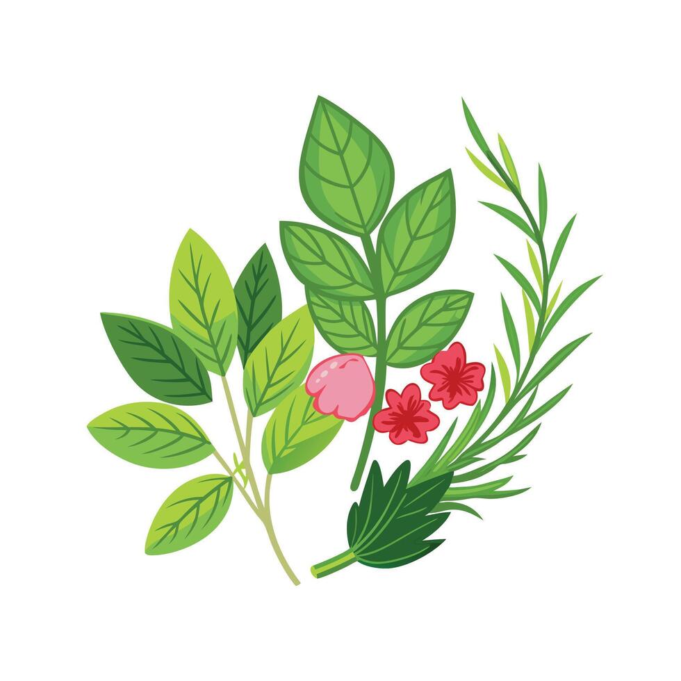 Hand drawn design botanical elements collection vector