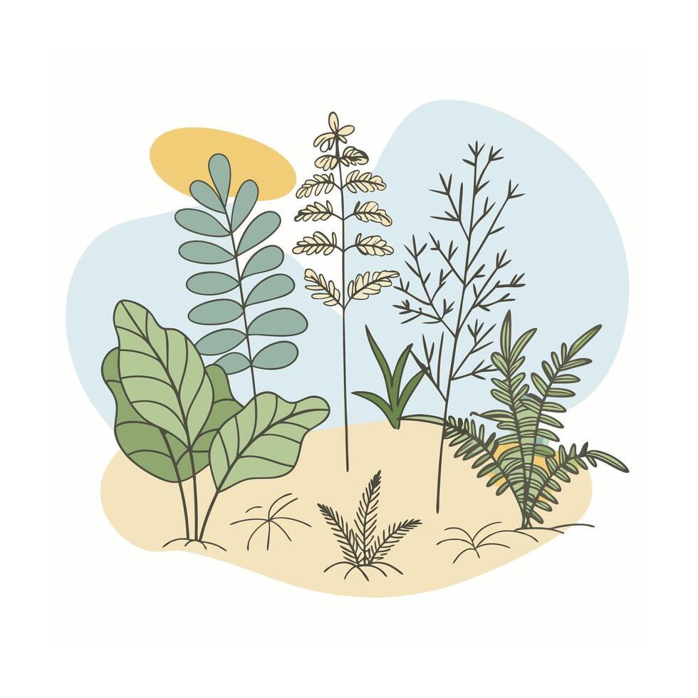 Hand drawn design botanical elements collection vector