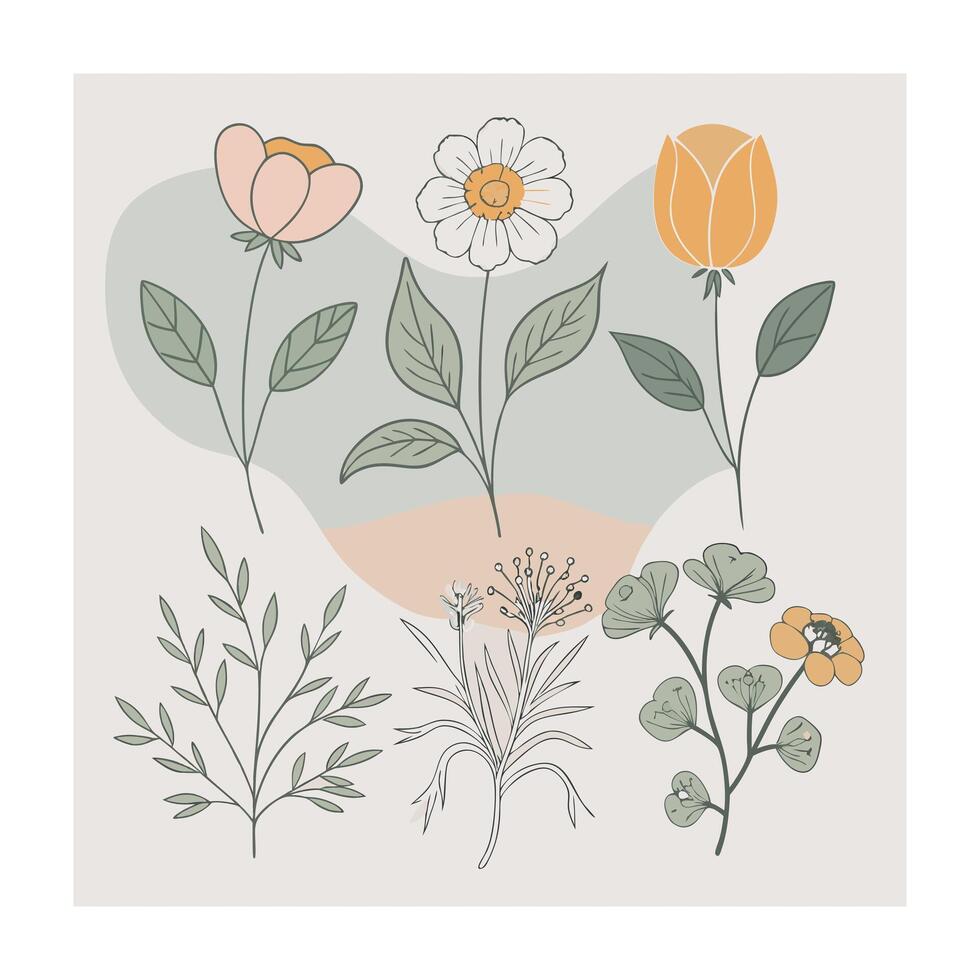 Hand drawn design botanical elements collection vector