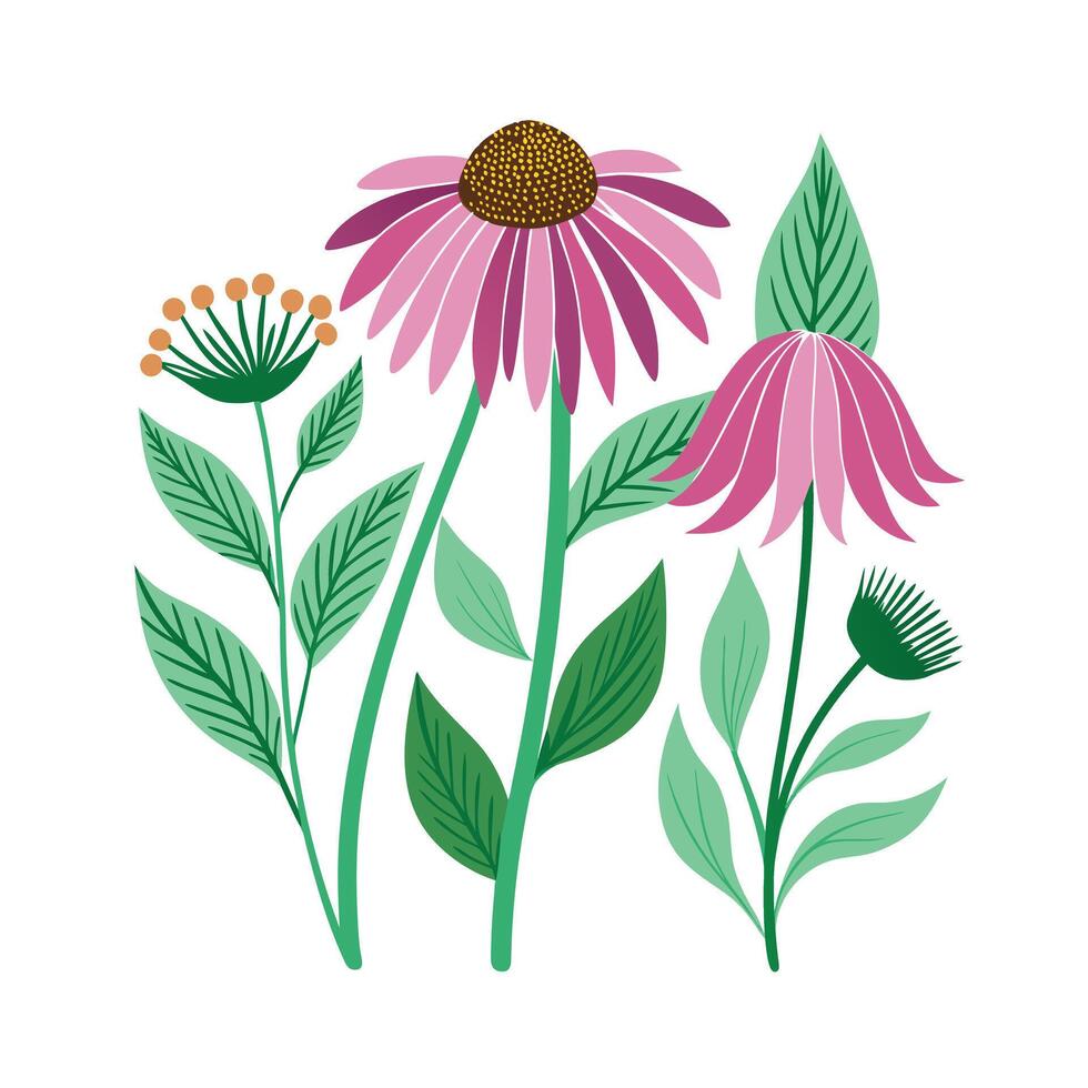 Hand drawn design botanical elements collection vector