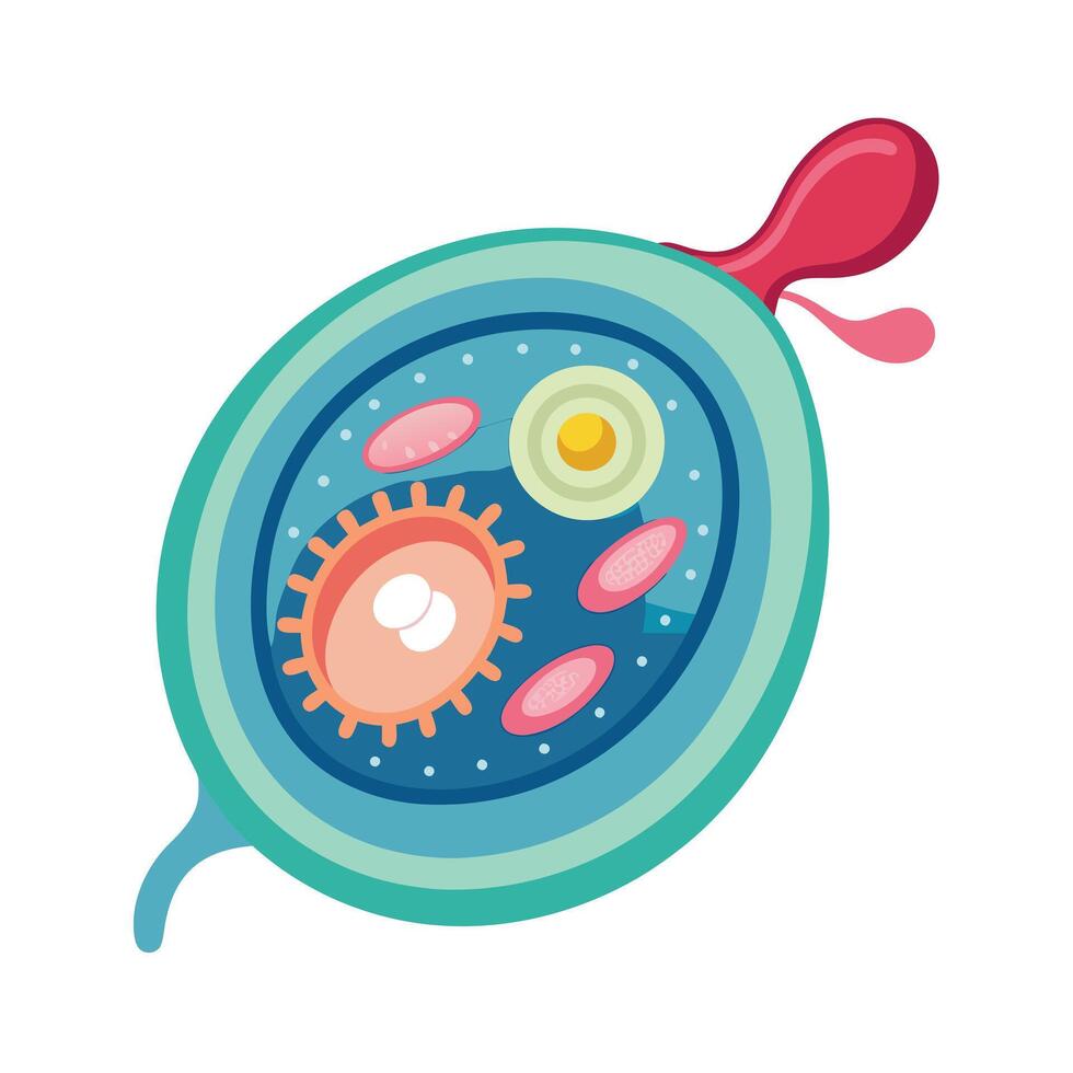 Collection of Microbiology flat design vector