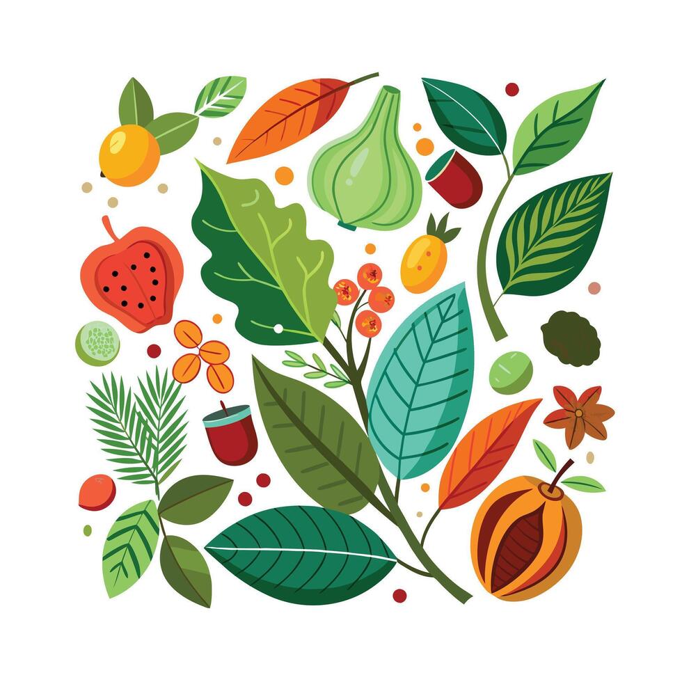 Hand drawn design botanical elements collection vector