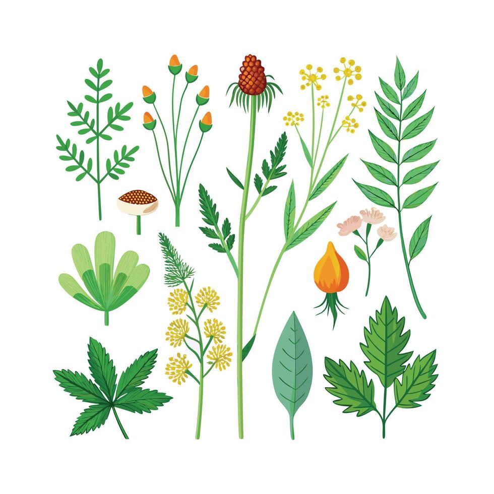 Hand drawn design botanical elements collection vector