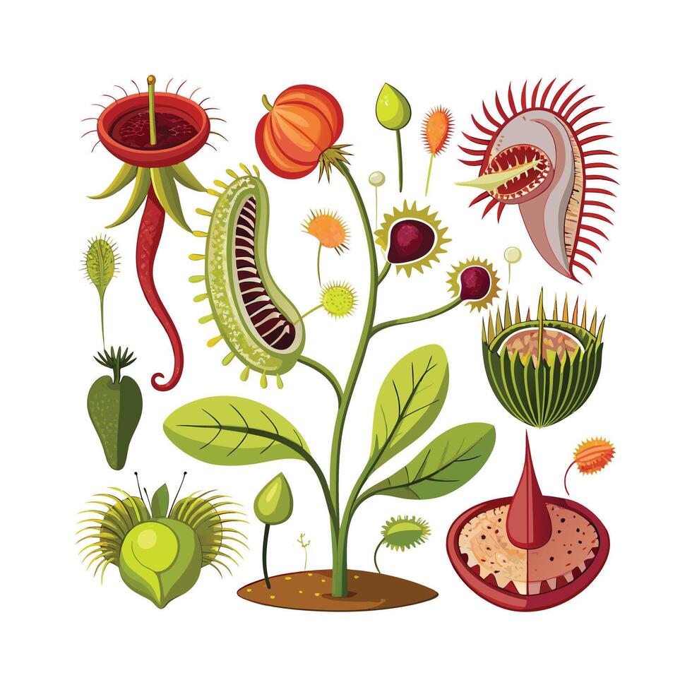 Hand drawn design botanical elements collection vector