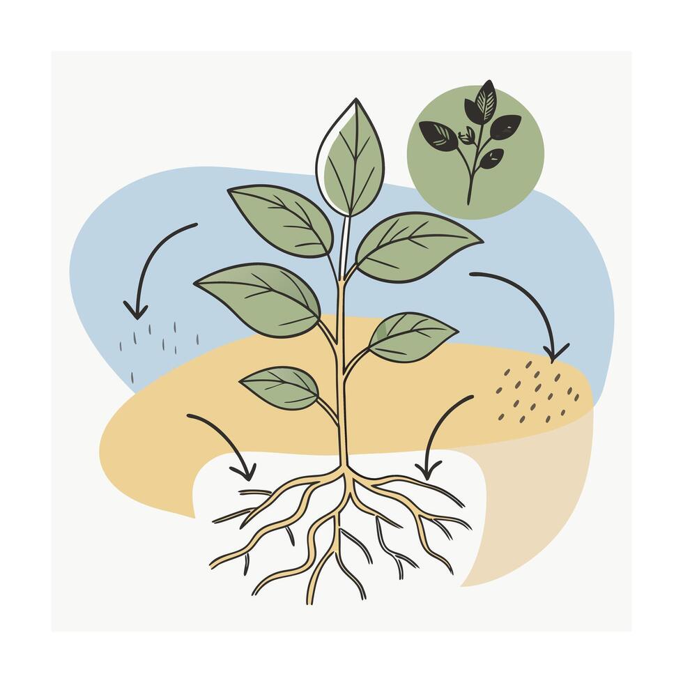 Hand drawn design botanical elements collection vector