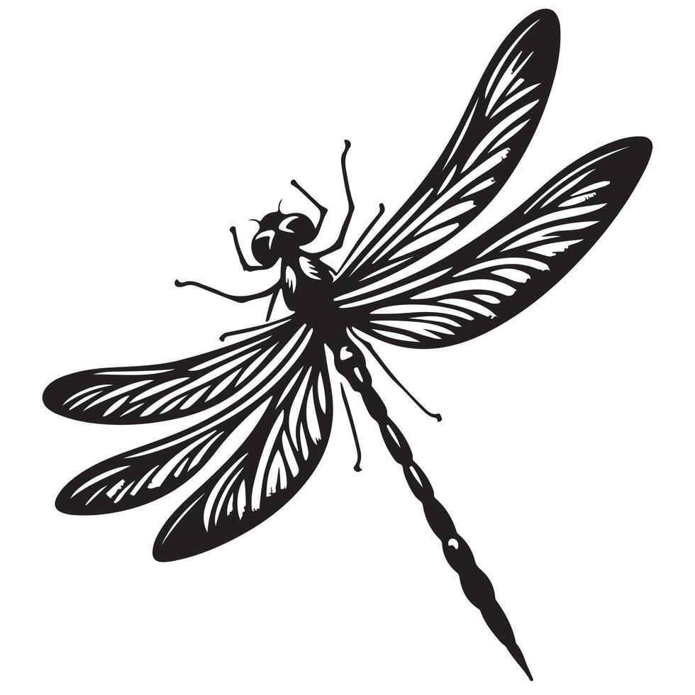 Graceful Dragonfly Silhouette Art vector