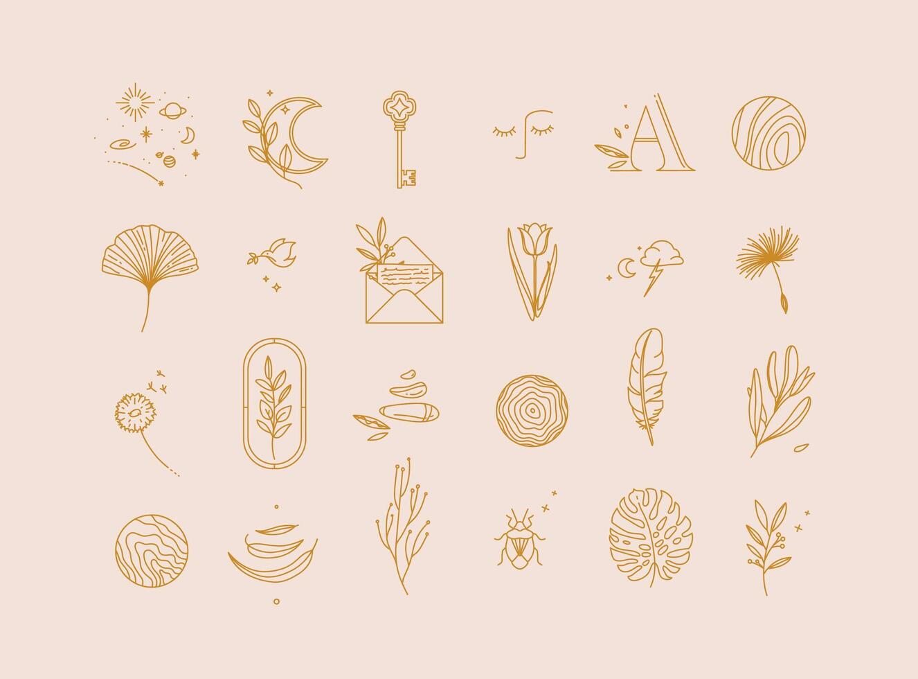 Symbols in modern minimal style drawing on beige background. vector