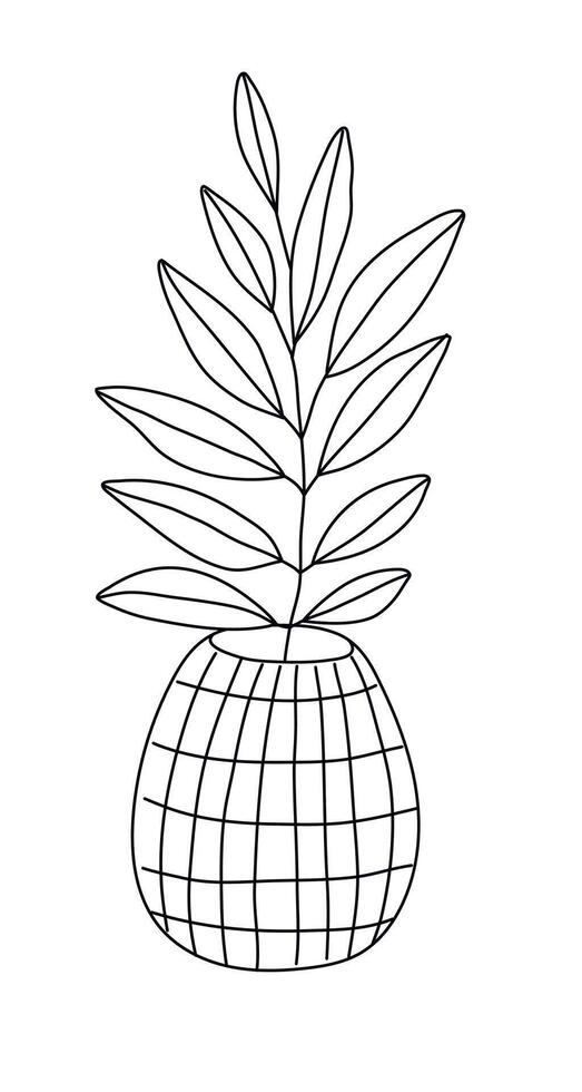 Hand drawn doodle lvase with leaves isolated on white background vector