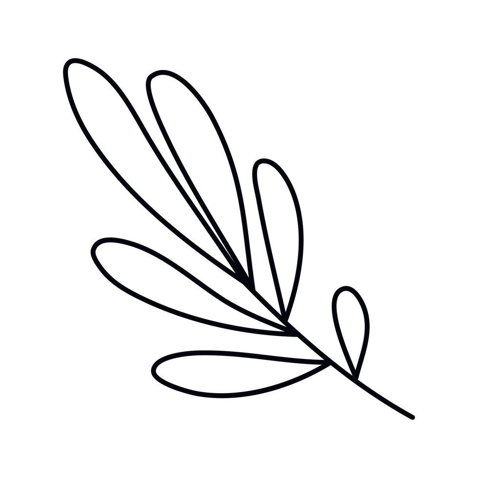 Hand drawn sketch leaf isolated on white background vector
