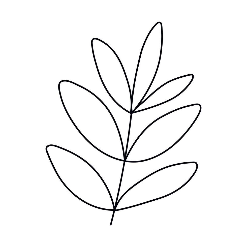 Hand drawn sketch leaf isolated on white background vector