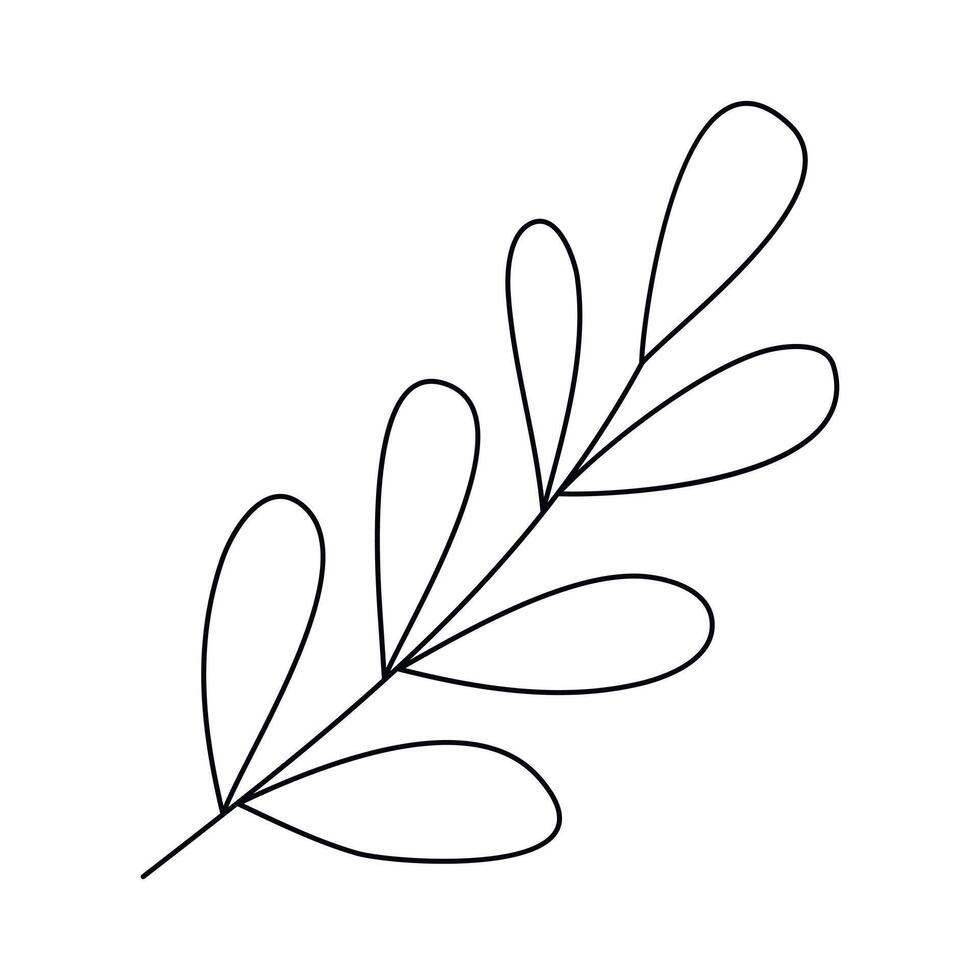 Hand drawn sketch leaf isolated on white background vector