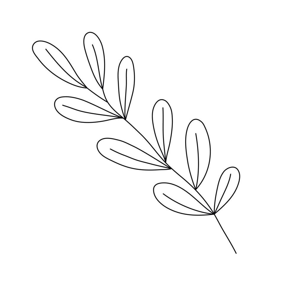 Hand drawn sketch leaf isolated on white background vector