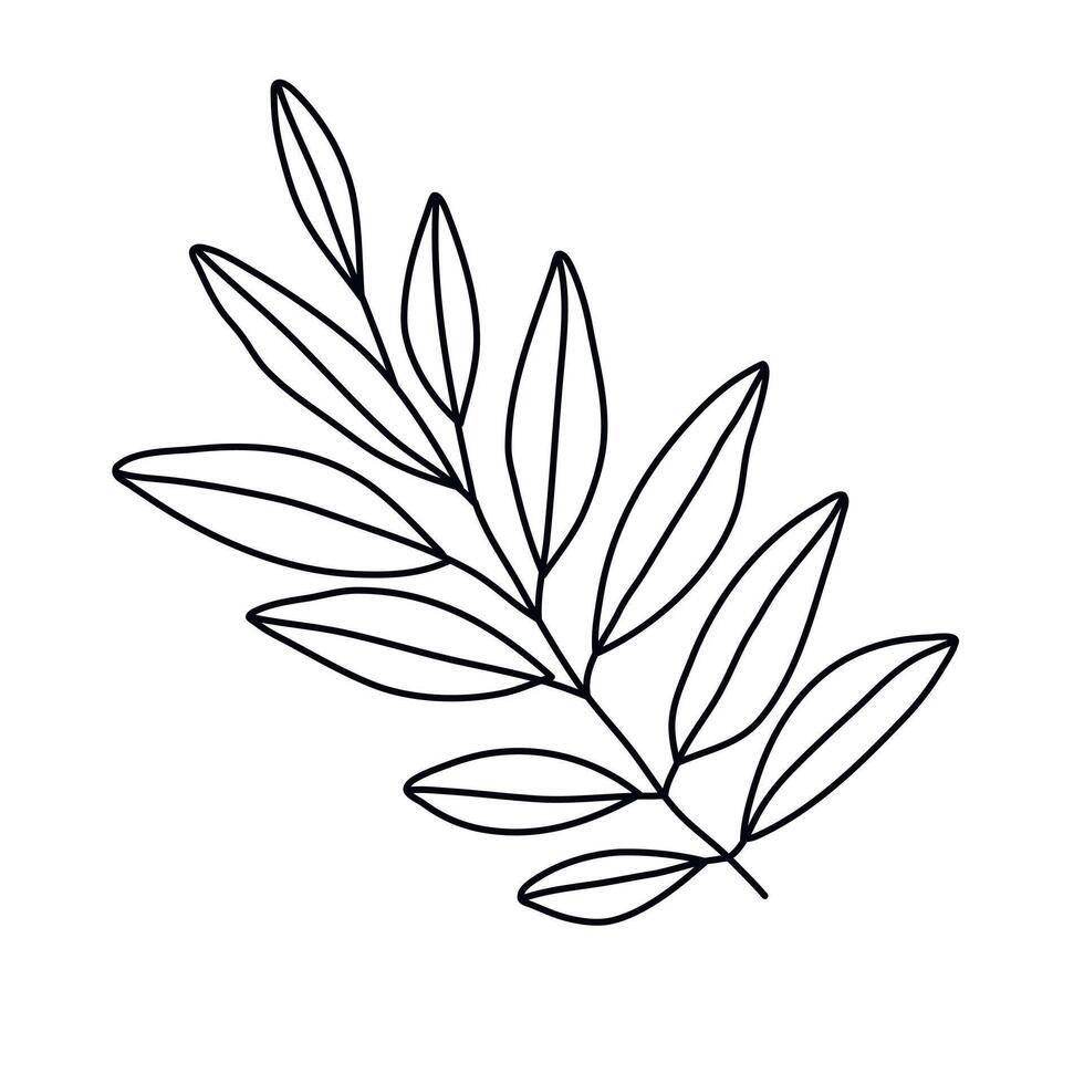 Hand drawn sketch leaf isolated on white background vector