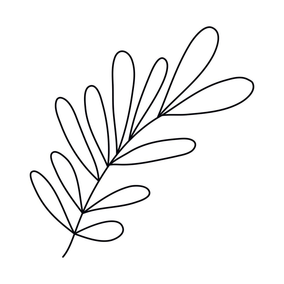 Hand drawn sketch leaf isolated on white background vector