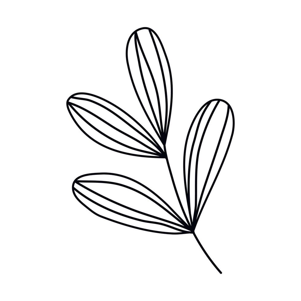 Hand drawn sketch leaf isolated on white background vector