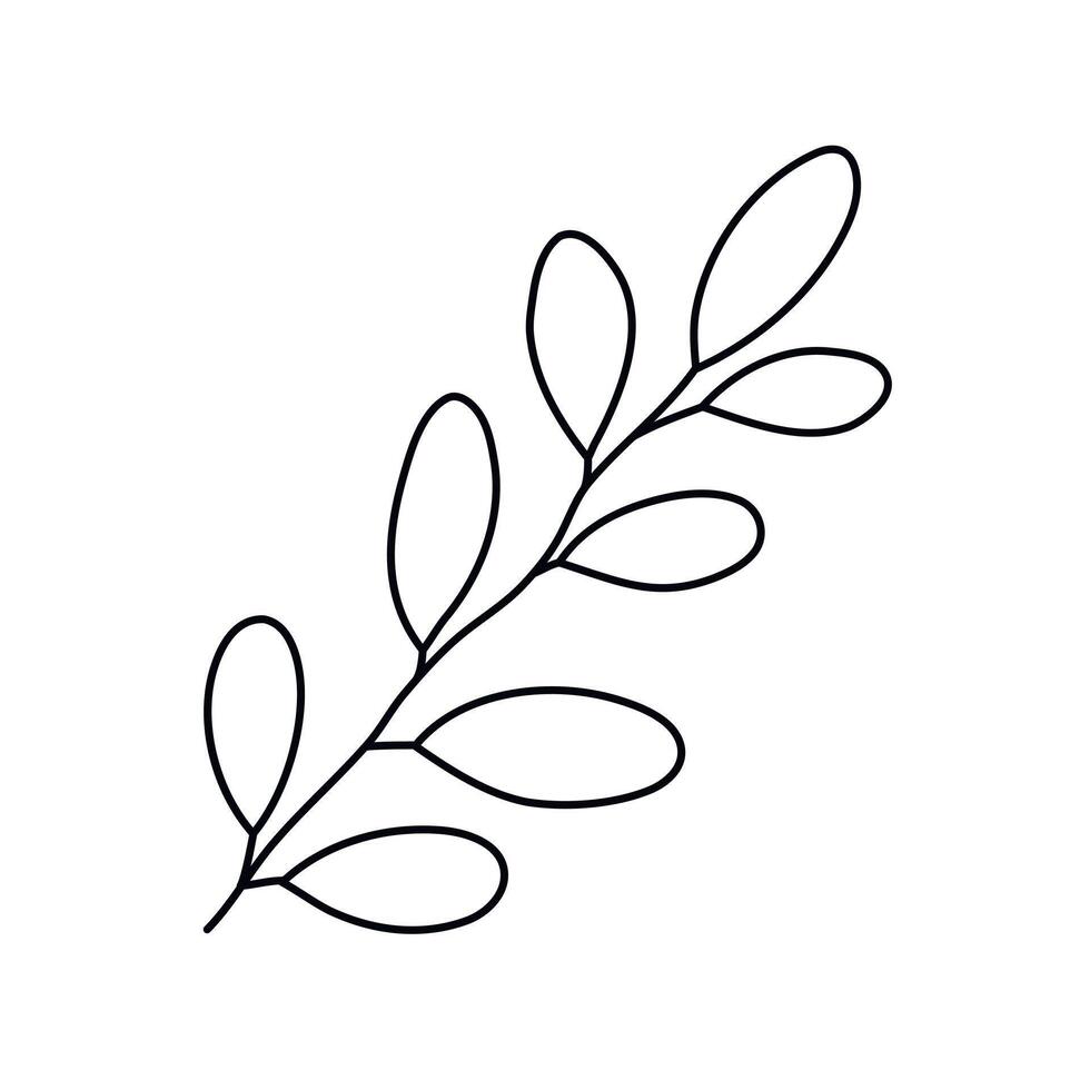 Hand drawn sketch leaf isolated on white background vector