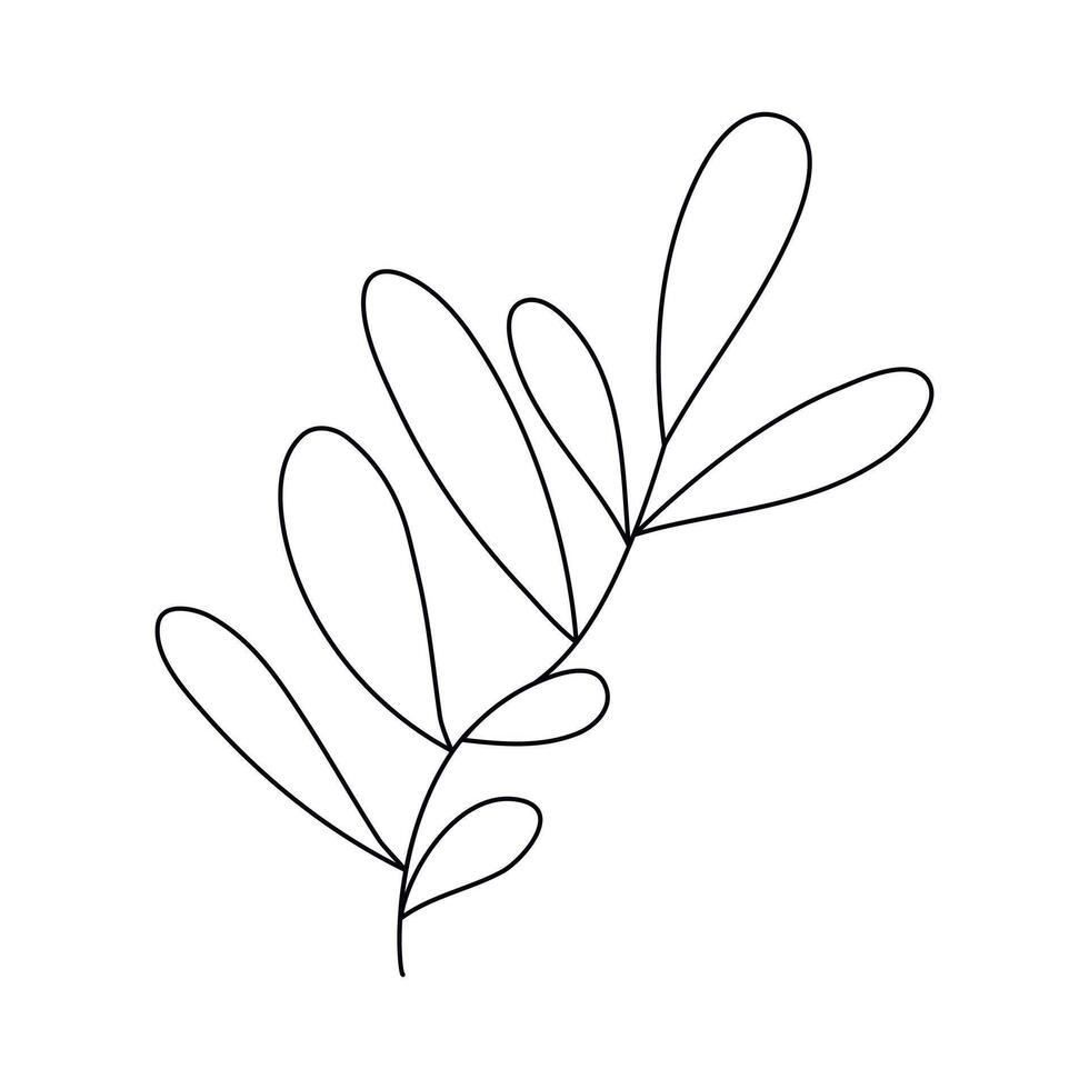 Hand drawn sketch leaf isolated on white background vector