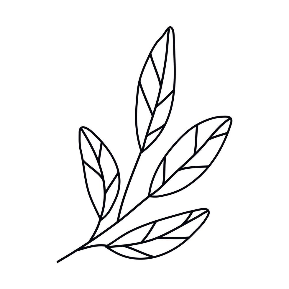 Hand drawn sketch leaf isolated on white background vector