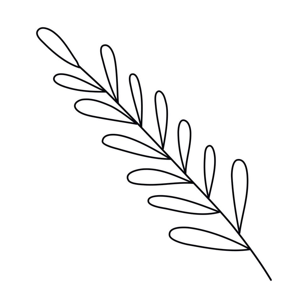 Hand drawn sketch leaf isolated on white background vector