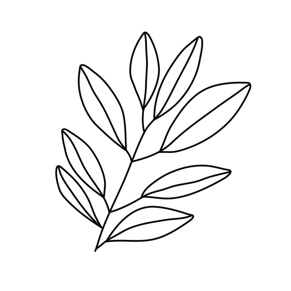 Hand drawn sketch leaf isolated on white background vector